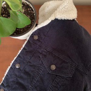 GAP Navy Blue Corduroy Denim Sherpa Jacket